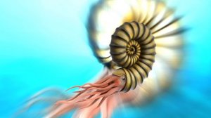 Палеозой эдит