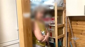 В Петербурге осудят организатора агентства, нелегально поставлявшего в Россию нянь и сиделок из Азии