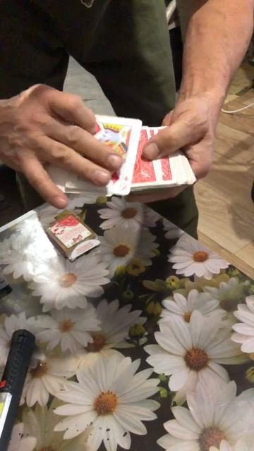 -4791032812314599373