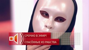 Крики, бутылки по 100 литров и электрошокер: экс-пленница о наказаниях в скам-центре в Мьянме. Пу...