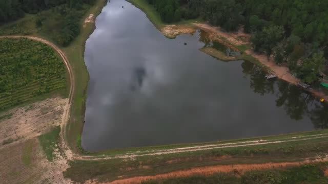 Fishing w_ BLUEGILL for POND MONSTERS Big Fish