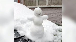 В Центральной России ударили заморозки.