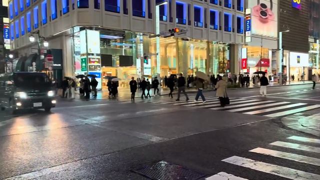 Япония. Токио  Пешеходные прогулки по городу.
