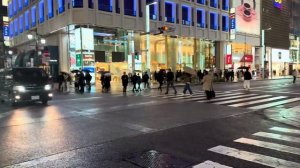 Япония. Токио  Пешеходные прогулки по городу.