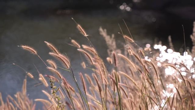 Край детства