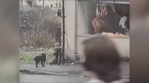 Как ИРЛАНДЦЫ бросили вызов АНГЛИЧАНАМ. Гражданская война и Ирландская республиканская армия. Часть 2