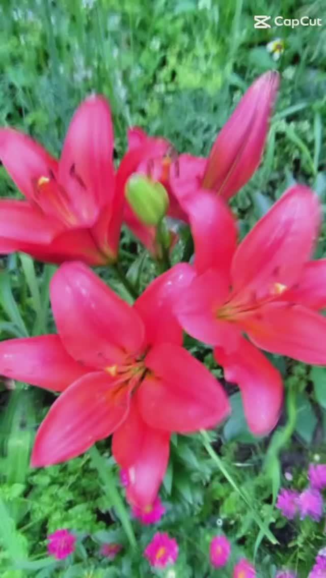 Позитивчик-для подписчиков. Спасибо всем, кто со мной.