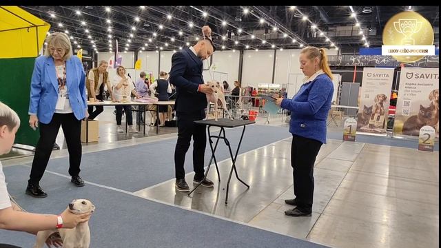 Ринг левреток, 19.04.2026.РЕЙТИНГОВАЯ ВЫСТАВКА СОБАК ВСЕХ ПОРОД С ОСОБЫМ СТАТУСОМ ГРАН ПРИ ПЕТЕРБУРГ