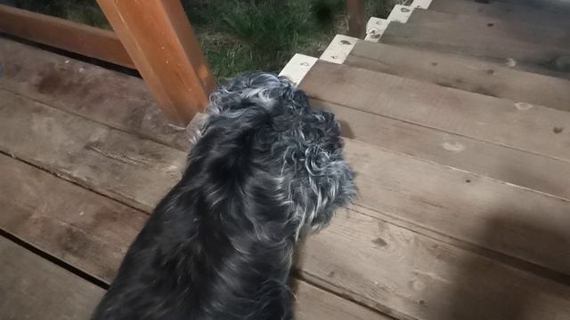 VID_20260422_034203[1]