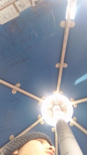 Гуляем с друзьями