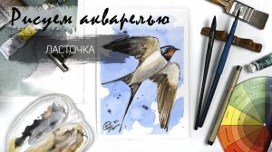 Ласточка. Уроки рисования.Alter Ego - уроки рисования акварелью.