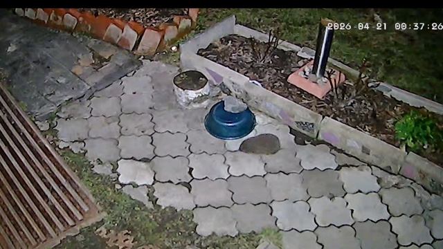 Неожиданный сюрприз.