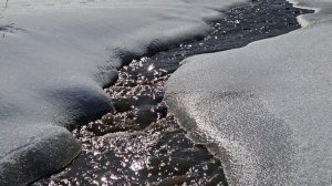 3786.mp4Весенний ручей.