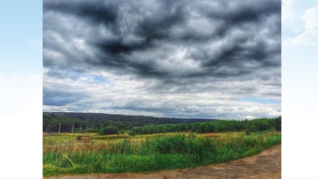 Букет В. Солоухина и П. Чайковского.