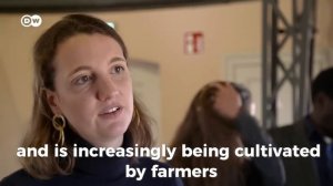 Как изменение климата угрожает производству кофе? | Документальный фильм на английском | ENG SUB