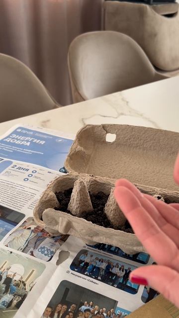 Как выглядит старость  сажаю рассаду