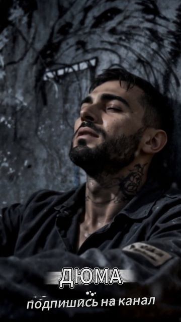 А у зоны выли волки