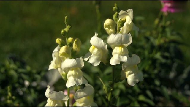 А что для вас самое главное...