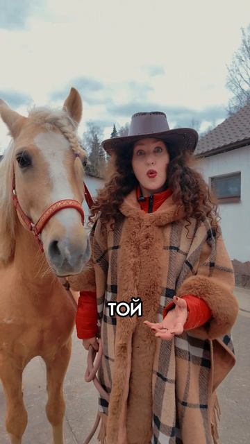 ⚡️Кредиты, долги, микрозаймы? Почему так происходит?