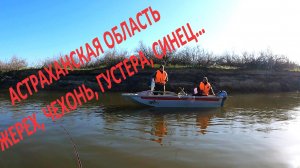 РЫБА ЕСТЬ ЕЕ НЕ МОЖЕТ НЕ БЫТЬ. Астраханская область жерех, чехонь, густера, синец…