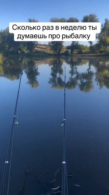 Видео от За Трофеем: Охота и Рыбалка
