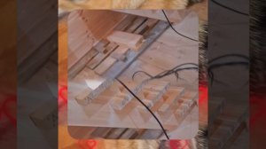 1000056803.mp4 (Собака наблюдает за устройством лестницы на 2-ой этаж в доме А-фрейм)