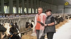 Курс на цифровизацию: чем живет молочно-товарный комплекс "Липки" в Логойском районе?