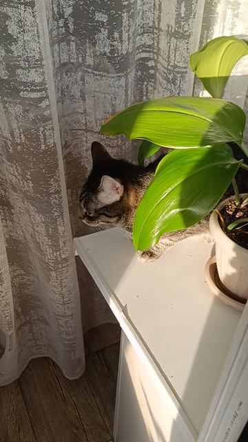 22 апреля 2026 г.