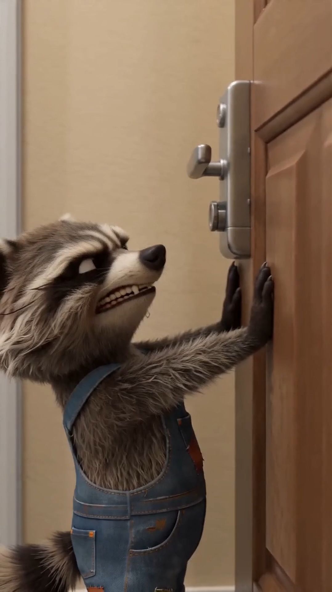 Енот и дверь!