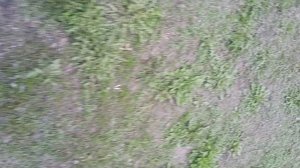 небольшая прогулка