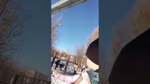 Новое видео