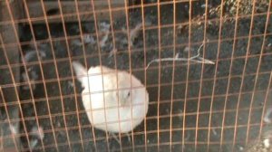 59)Я БАХЧИСАРАЙ ПАРК МИНИАТЮР