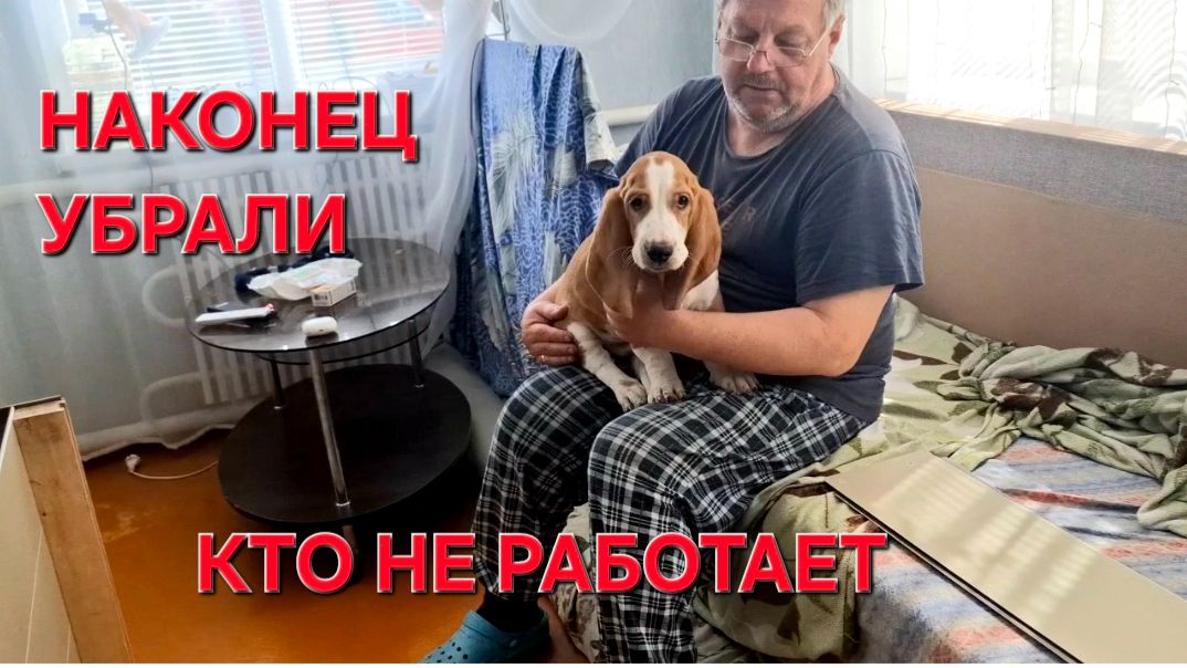 1190 Наконец Убрали. Бардак кругом.Если очень хочется. Обработала Клубнику. Работаем целый день.