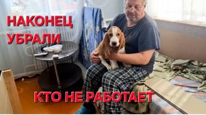 1190 Наконец Убрали. Бардак кругом.Если очень хочется. Обработала Клубнику. Работаем целый день.