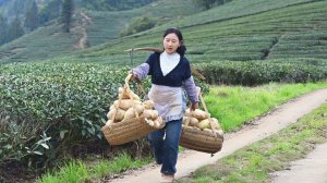 Сушеная редька. Не упустите хорошую погоду, чтобы высушить редьку. Весна это день, когда все растет.