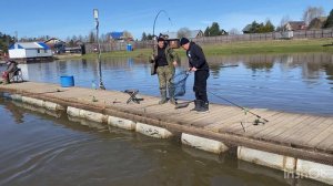 Поимки форели