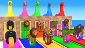 Не сломайте стену! ДЛИННАЯ ГОРКА для слона, Коровы, Льва, Гориллы. Игра в клетку с дикими животными