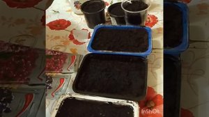 #счастливая работа#вечер с цветами