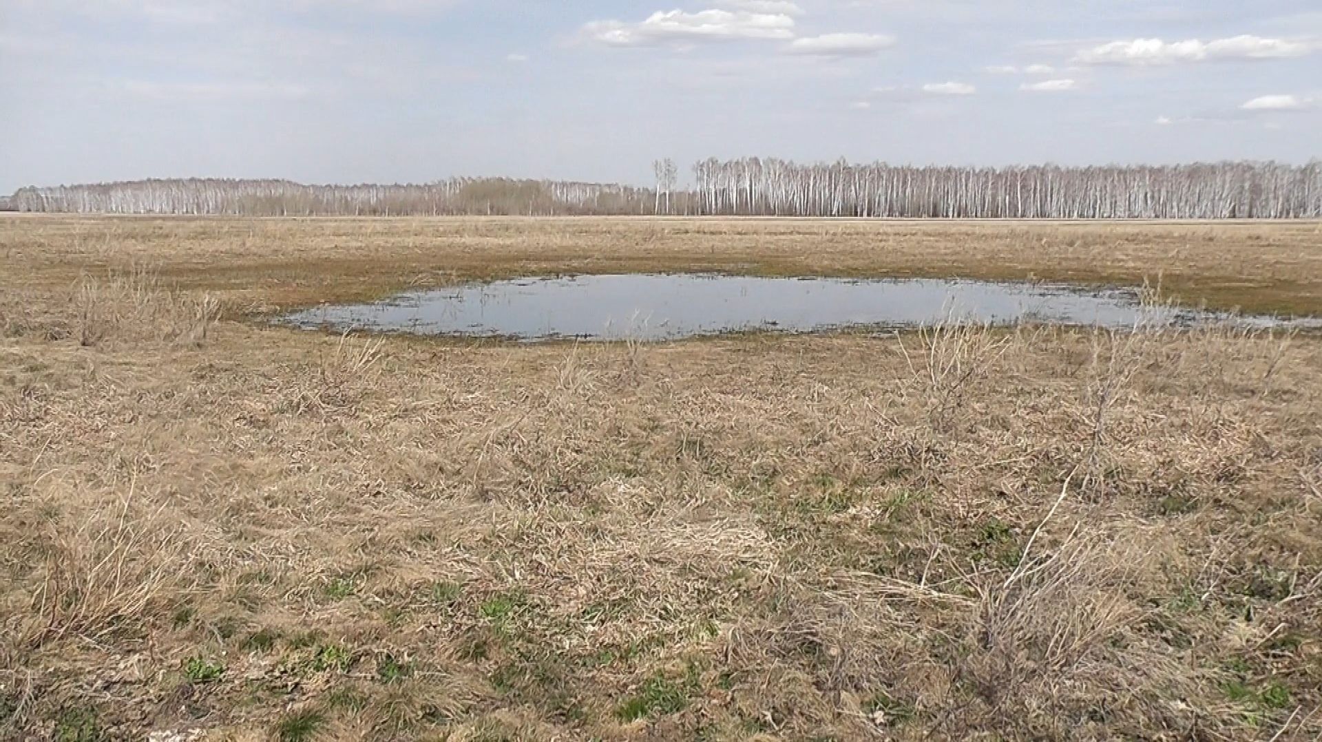 Весенний лес и поле с не многочисленными находками.