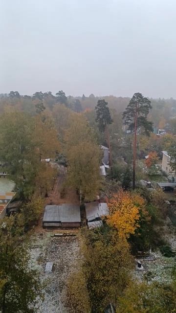 Первый снег в МО быстро. Белые мухи. 14 октября 2024