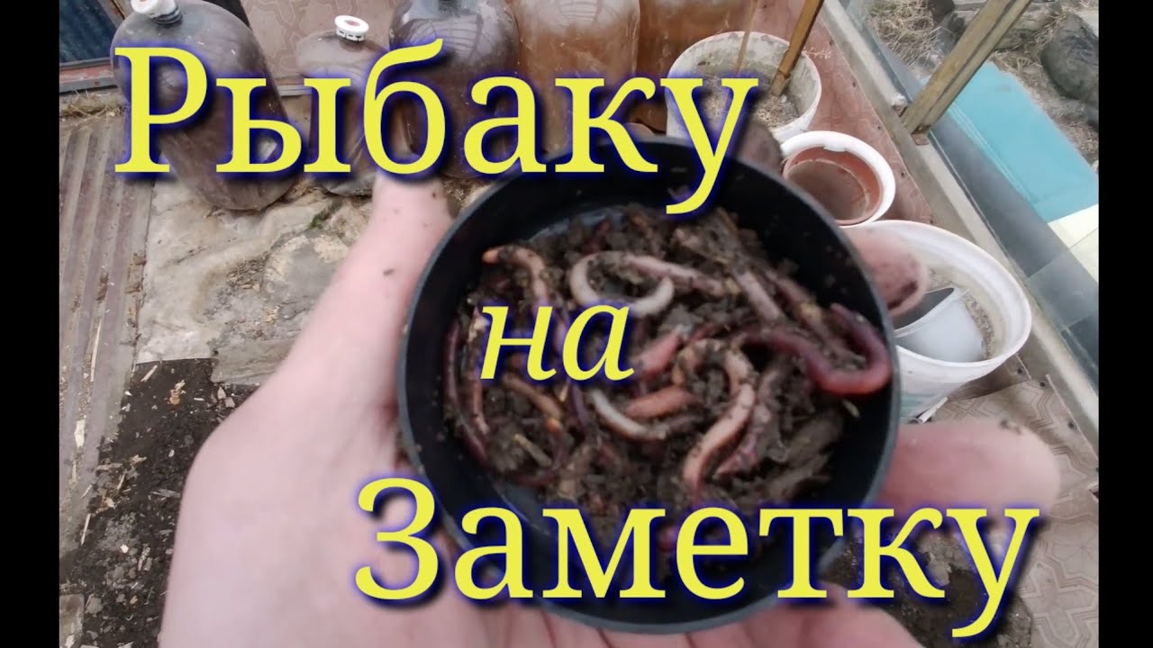 Где Взять Червей для Рыбалки, если Лежит Снег??? О таком Способе вы Точно не знали или знали???