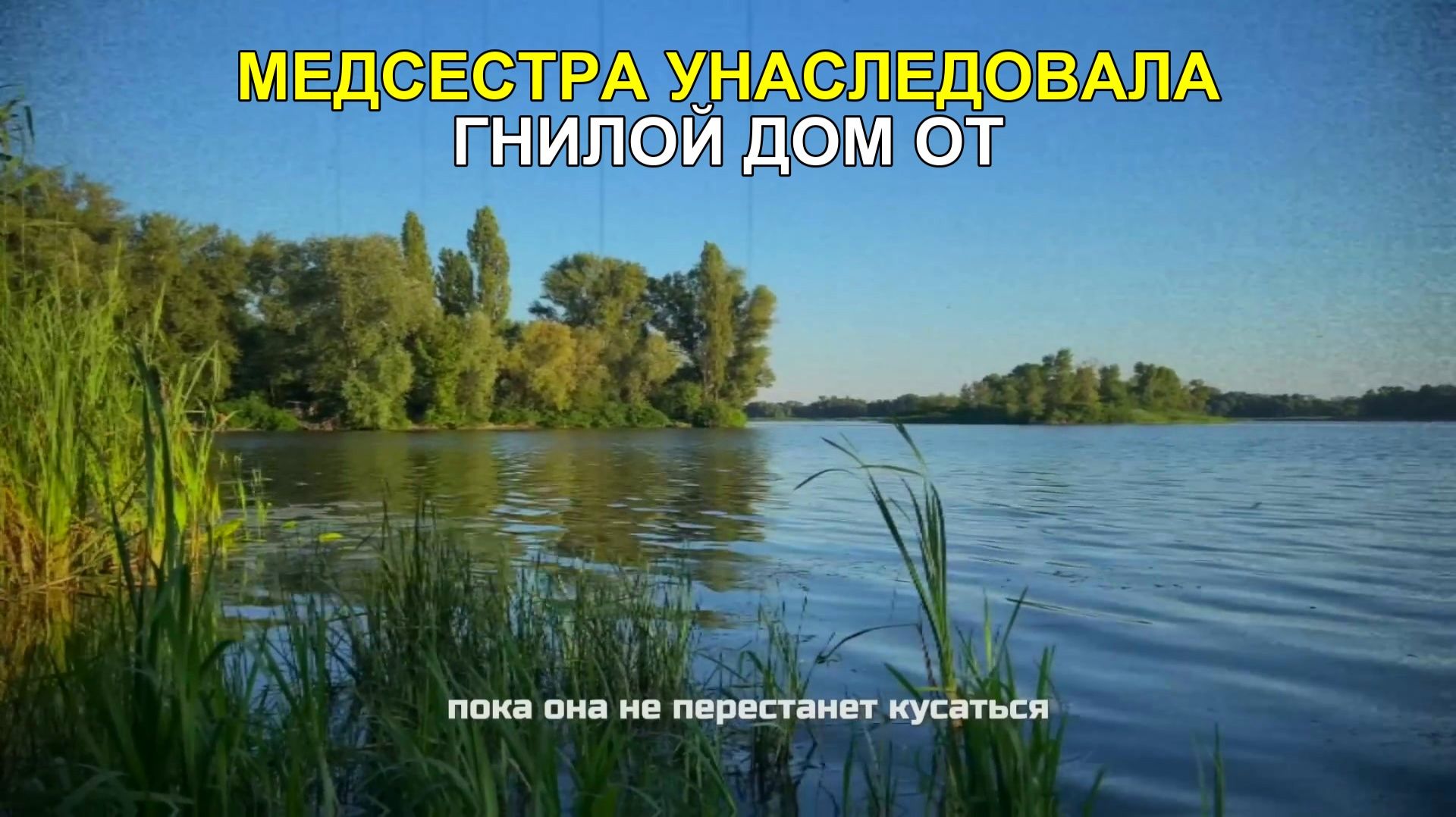 Медсестра унаследовала гнилой дом от бабушки, а когда зашла туда, то замерла