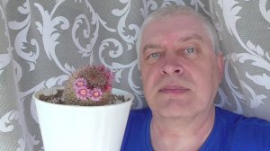 Кактус цветёт второй день, 22.04.2026 год