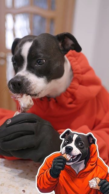 Зашли покушать курицу! Почему не понравилась? 🍗