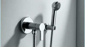 Ремонт гигиенического душа.