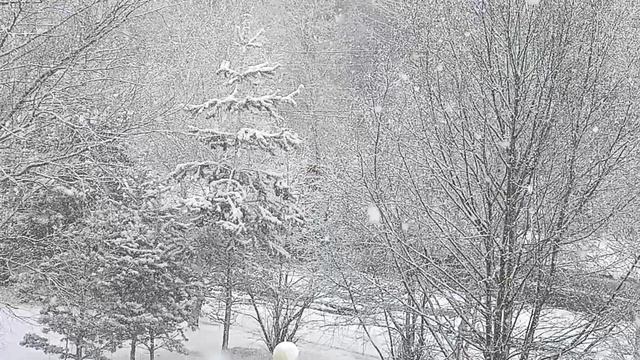 Томский апрельский снегопад 19.04.26