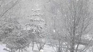 Томский апрельский снегопад 19.04.26