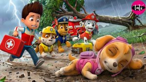 Щенячий патруль и Маршалл. Залипательное видео. Мультфильм для детей и малышей. Анимация 434