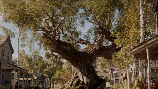 Анатолий Бабушкин Гимн жизни 2