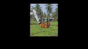 Копаем ямку под дерево